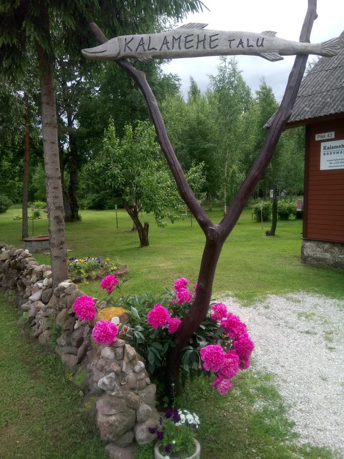 Kalamehe Farmstay Alatskivi Екстер'єр фото